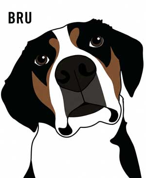 Simplistic Pet Portrait