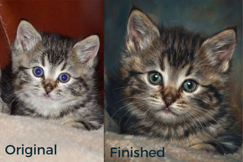 Oil Painting Before and After. Pet Portrait, Custom