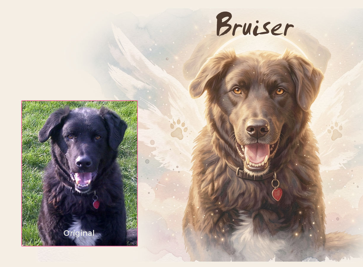 Pet Memorial Portraits